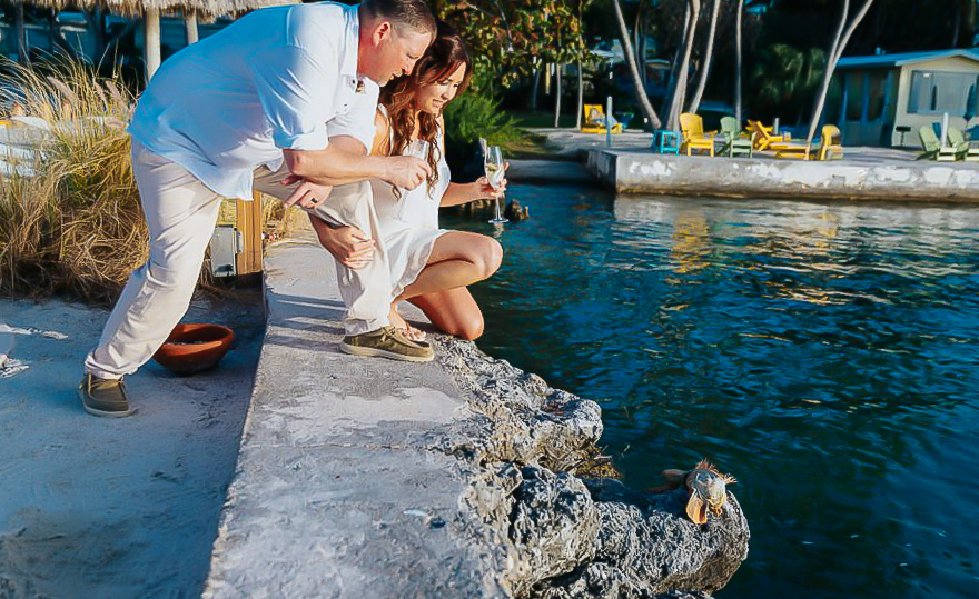 Read more about the article Florida Keys Iguanas: The Wild Wedding Guests You Didn’t Invite (But Will Never Forget!)